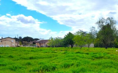 TERRAIN À BATIR 730m² TOULOUSE ST MARTIN DU TOUCH